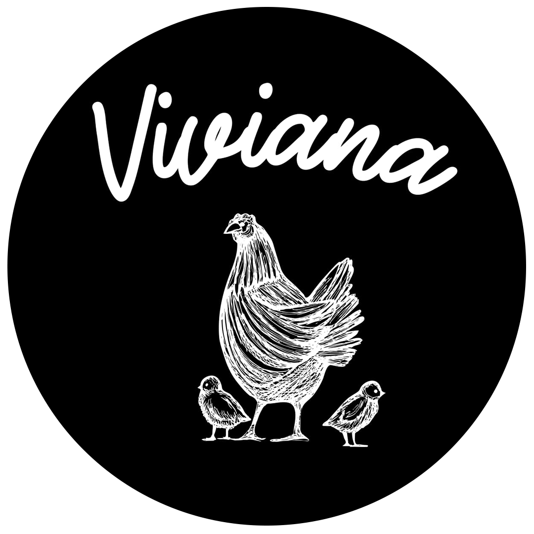 VIVIANA LOGO